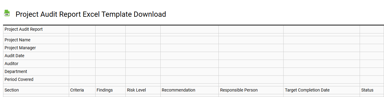 Project audit report Excel template download