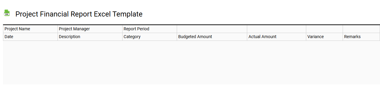 Project financial report Excel template