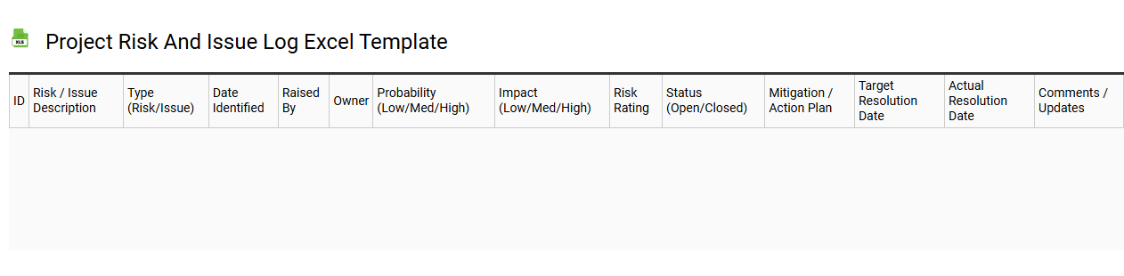 Project risk and issue log Excel template
