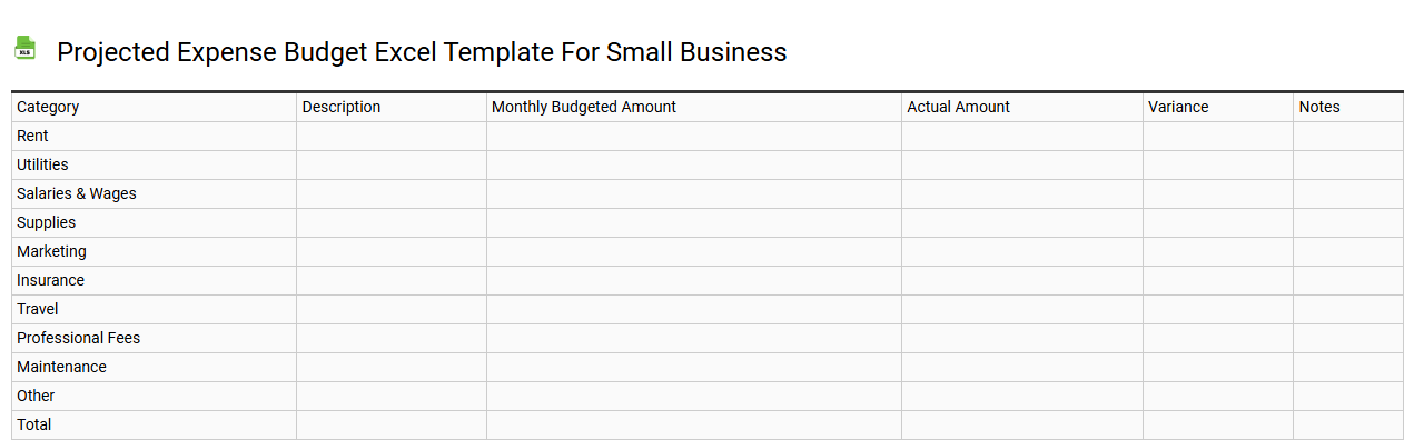 Projected expense budget Excel template for small business