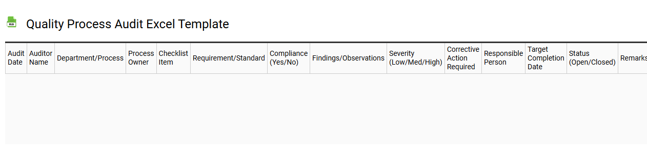 Quality process audit Excel template