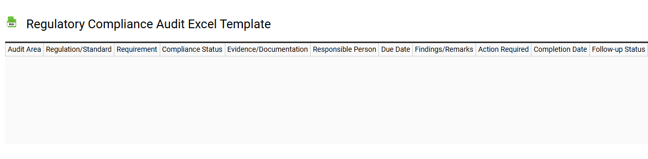 Regulatory compliance audit Excel template