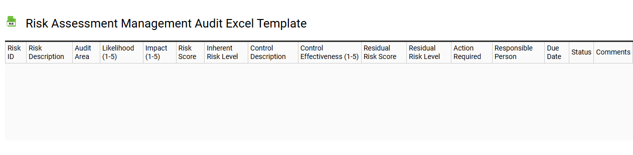 Risk assessment management audit Excel template