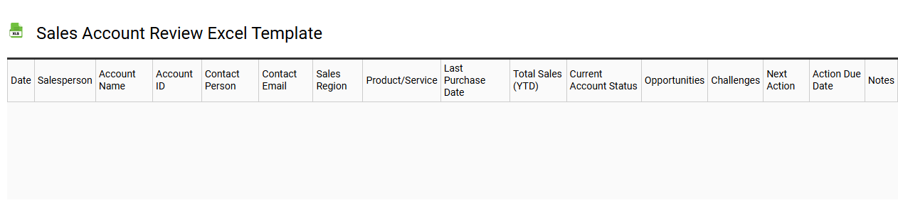 Sales account review Excel template