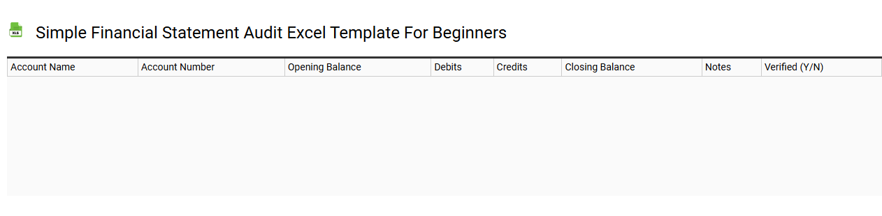 Simple financial statement audit Excel template for beginners