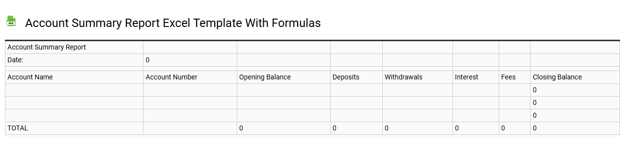 Account summary report Excel template with formulas
