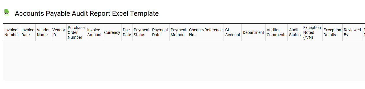 Accounts payable audit report Excel template