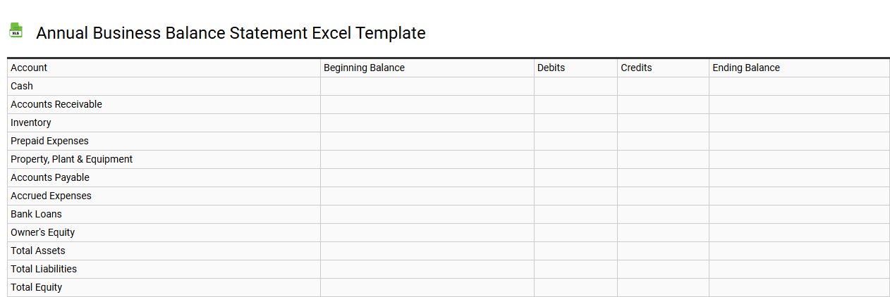 Annual business balance statement Excel template