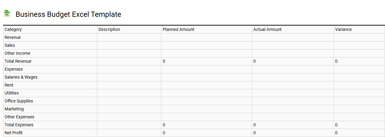 Business budget Excel template