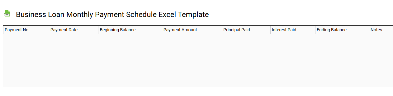 Business loan monthly payment schedule Excel template