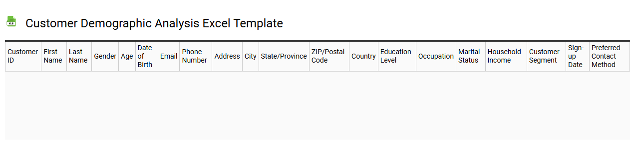 Customer demographic analysis Excel template