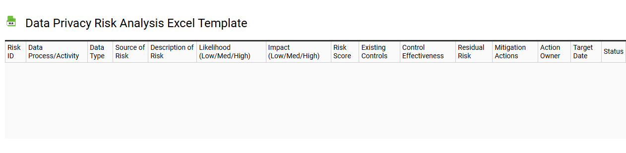Data privacy risk analysis Excel template