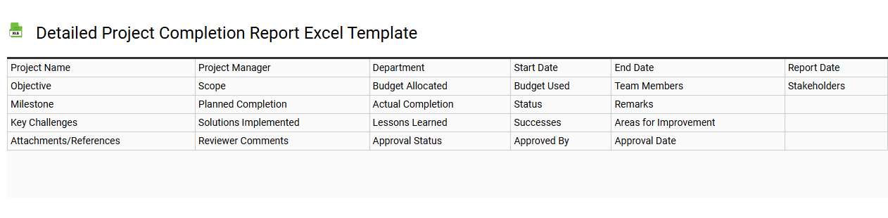 Detailed project completion report Excel template