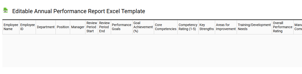 Editable annual performance report Excel template