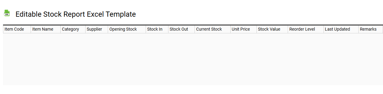Editable stock report Excel template