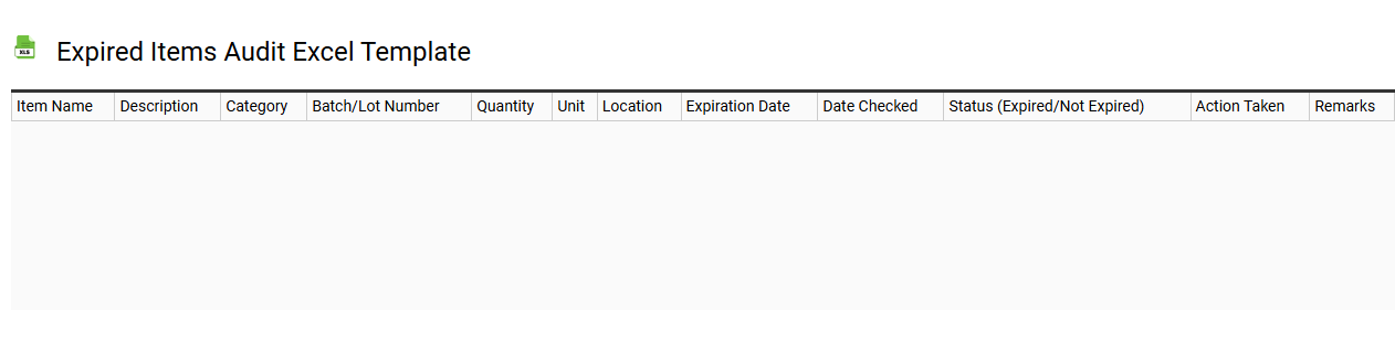 Expired items audit Excel template