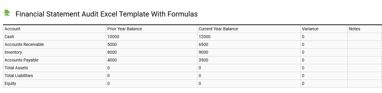 Financial statement audit Excel template with formulas