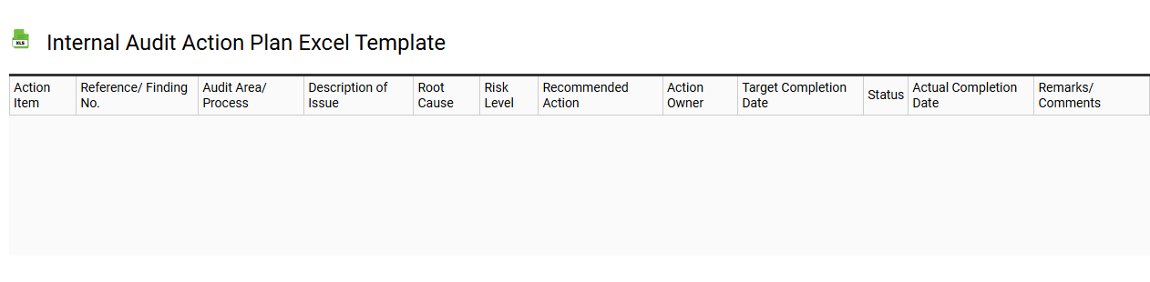 Internal audit action plan Excel template