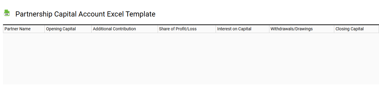 Partnership capital account Excel template