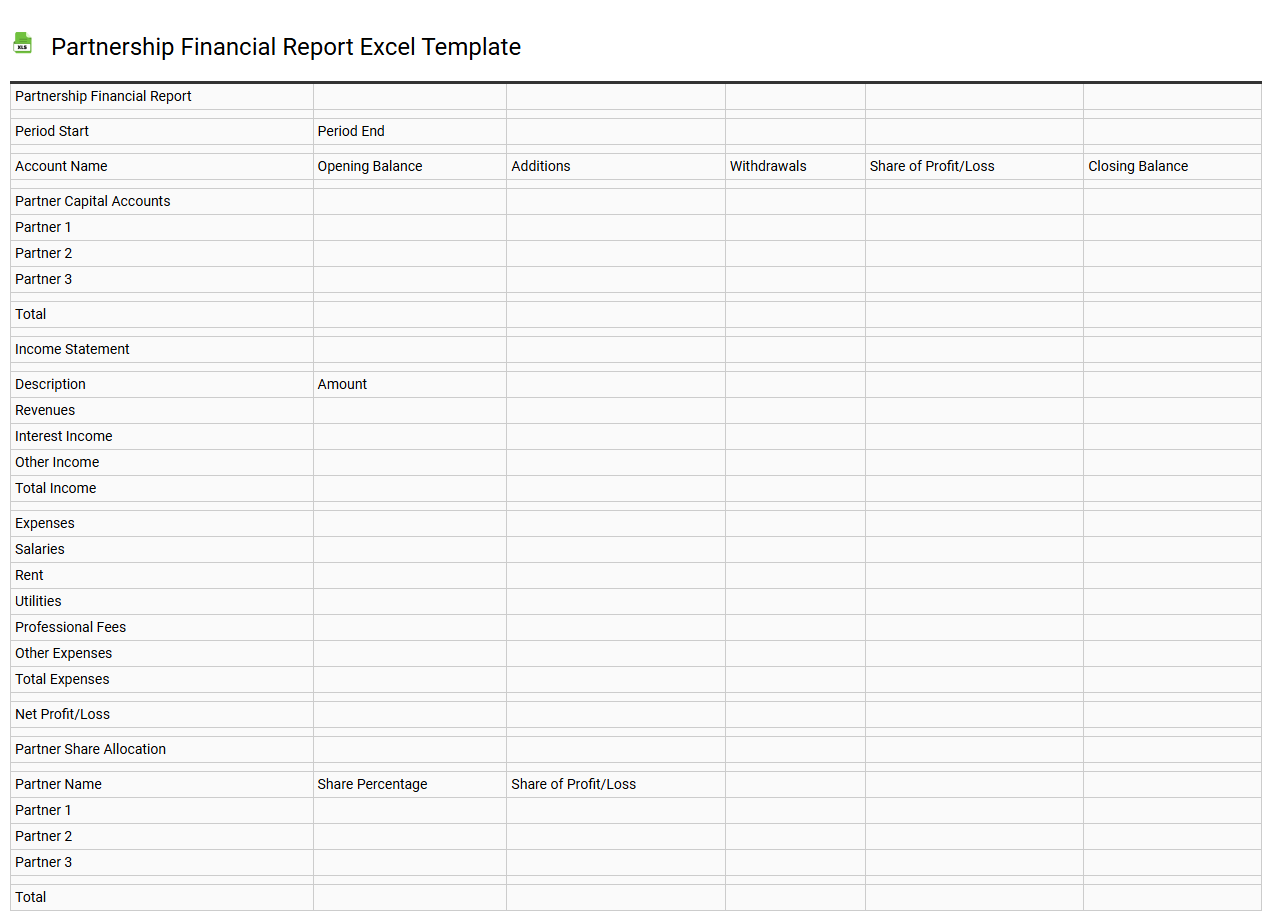 Partnership financial report Excel template