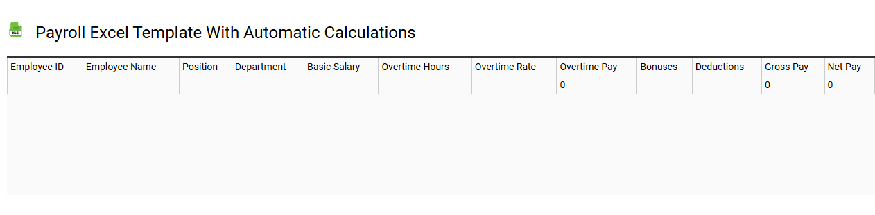 Payroll Excel template with automatic calculations
