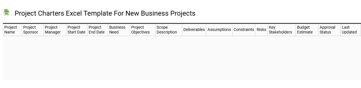Project charters Excel template for new business projects