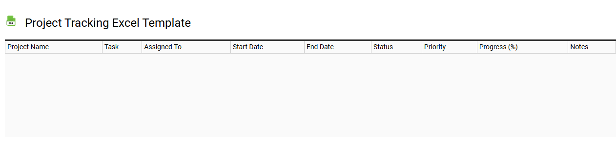 Project tracking Excel template