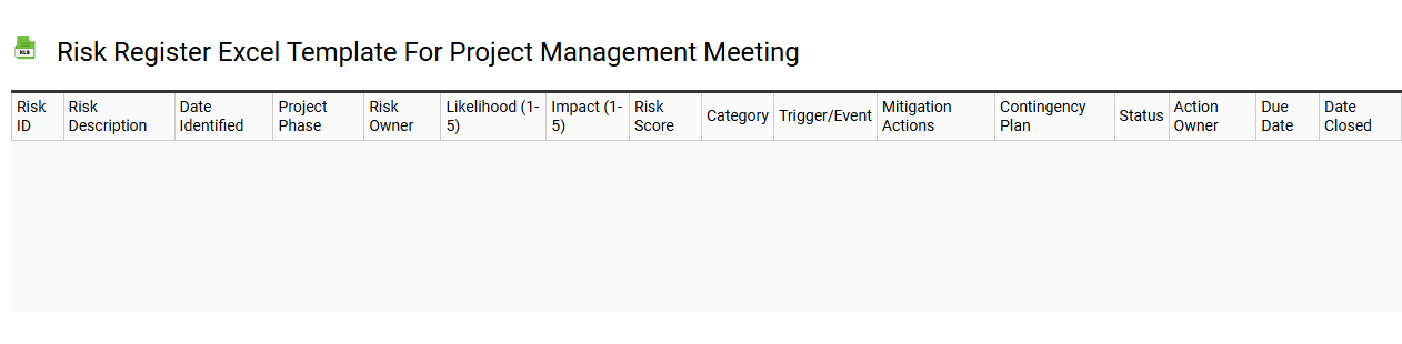 Risk register Excel template for project management meeting