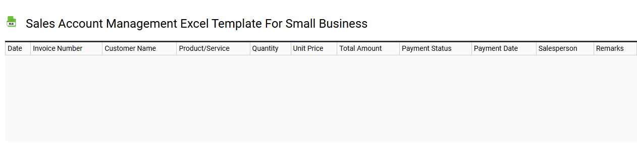 Sales account management Excel template for small business