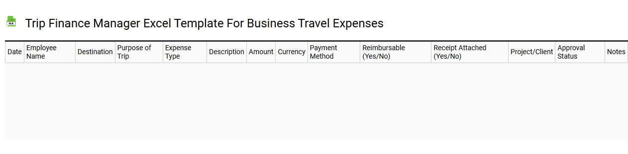 Trip finance manager Excel template for business travel expenses