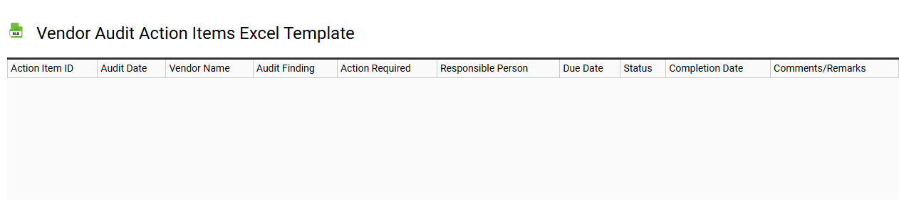 Vendor audit action items Excel template
