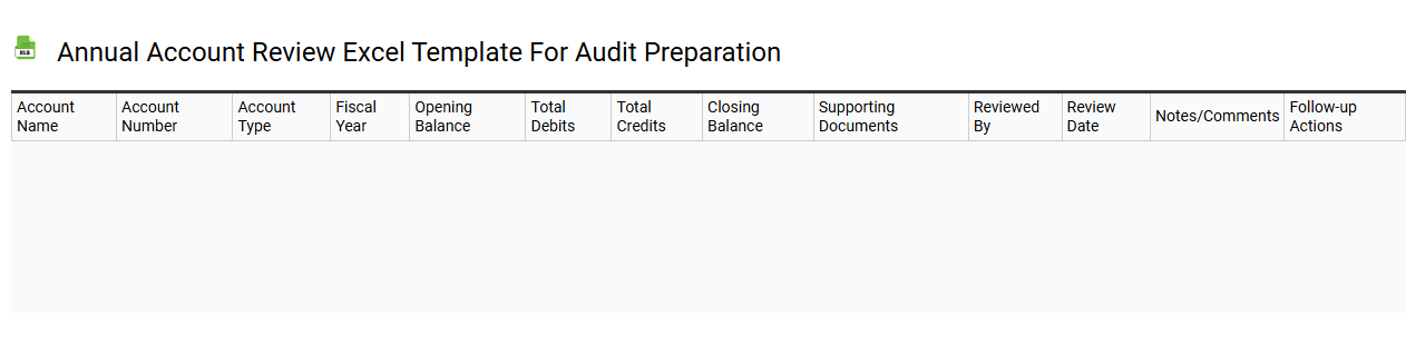 Annual account review Excel template for audit preparation