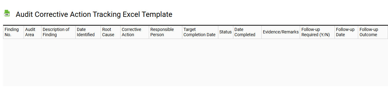 Audit corrective action tracking Excel template