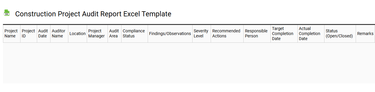 Construction project audit report Excel template