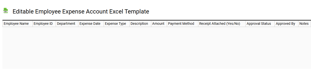 Editable employee expense account Excel template