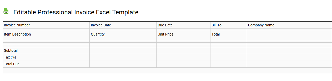 Editable professional invoice Excel template