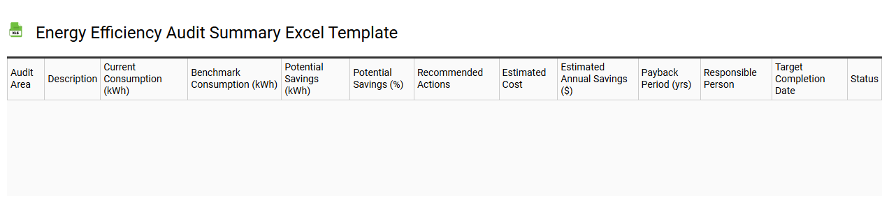 Energy efficiency audit summary Excel template