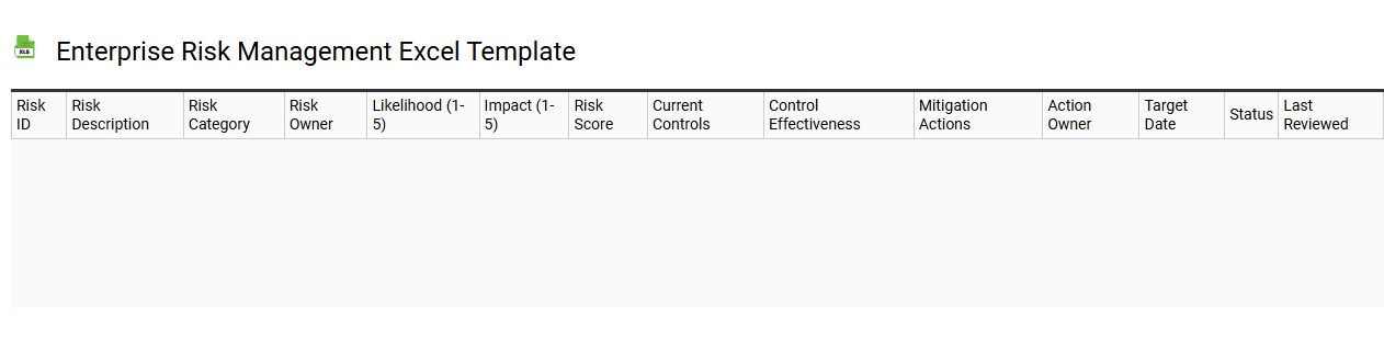 Enterprise risk management Excel template