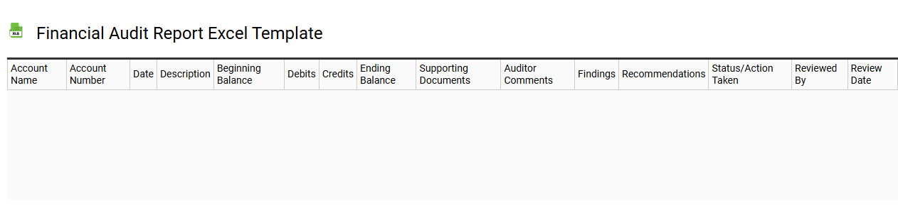 Financial audit report Excel template