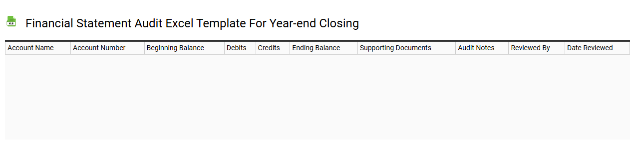 Financial statement audit Excel template for year-end closing