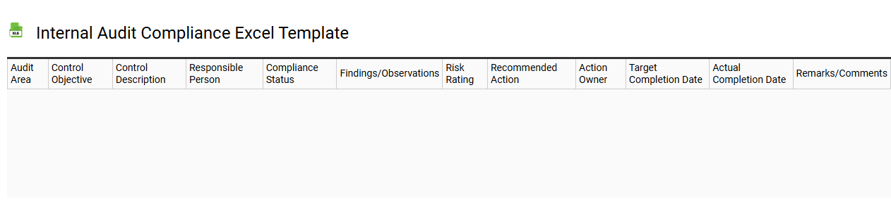 Internal audit compliance Excel template