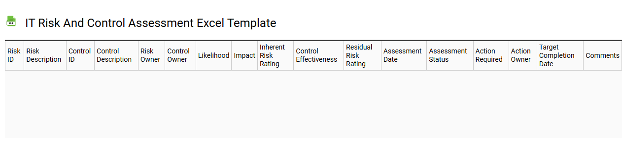 IT risk and control assessment Excel template