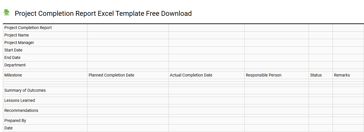 Project completion report Excel template free download