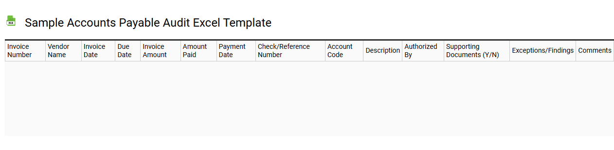 Sample accounts payable audit Excel template