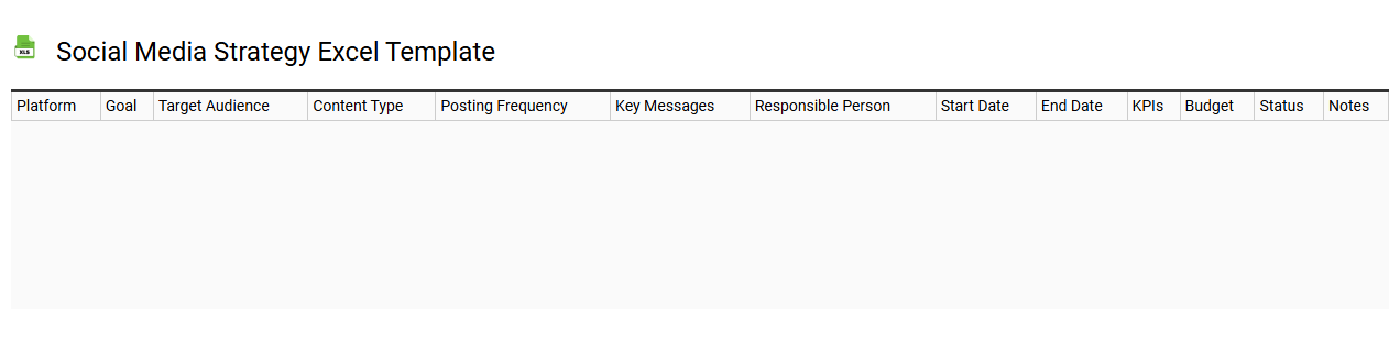 Social media strategy Excel template