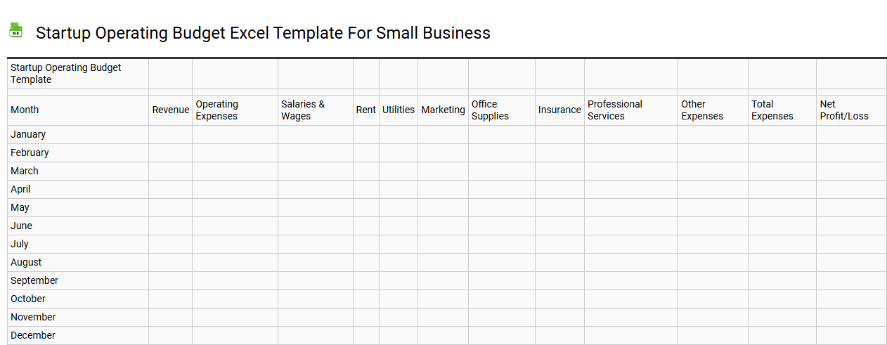 Startup operating budget Excel template for small business