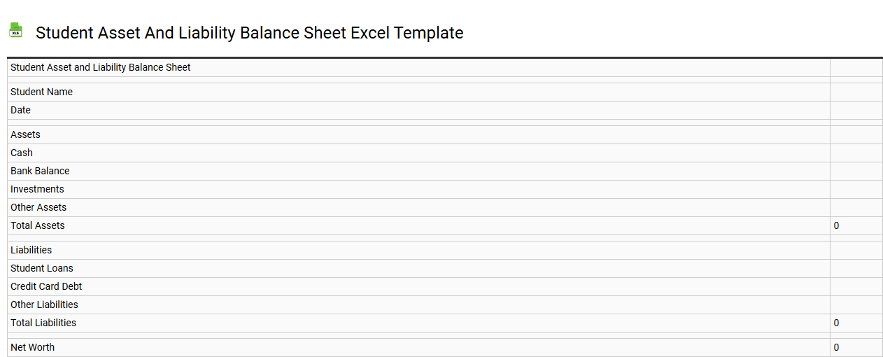 Student asset and liability balance sheet Excel template