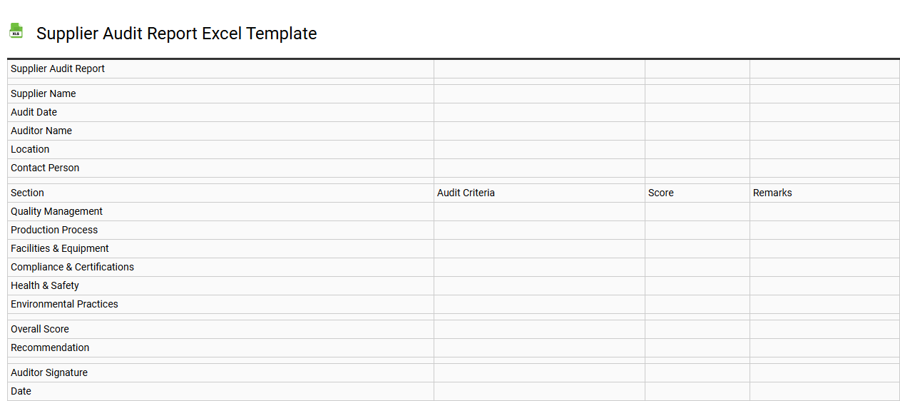 Supplier audit report Excel template
