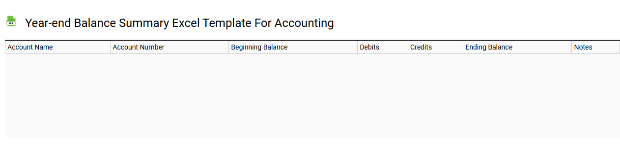 Year-end balance summary Excel template for accounting